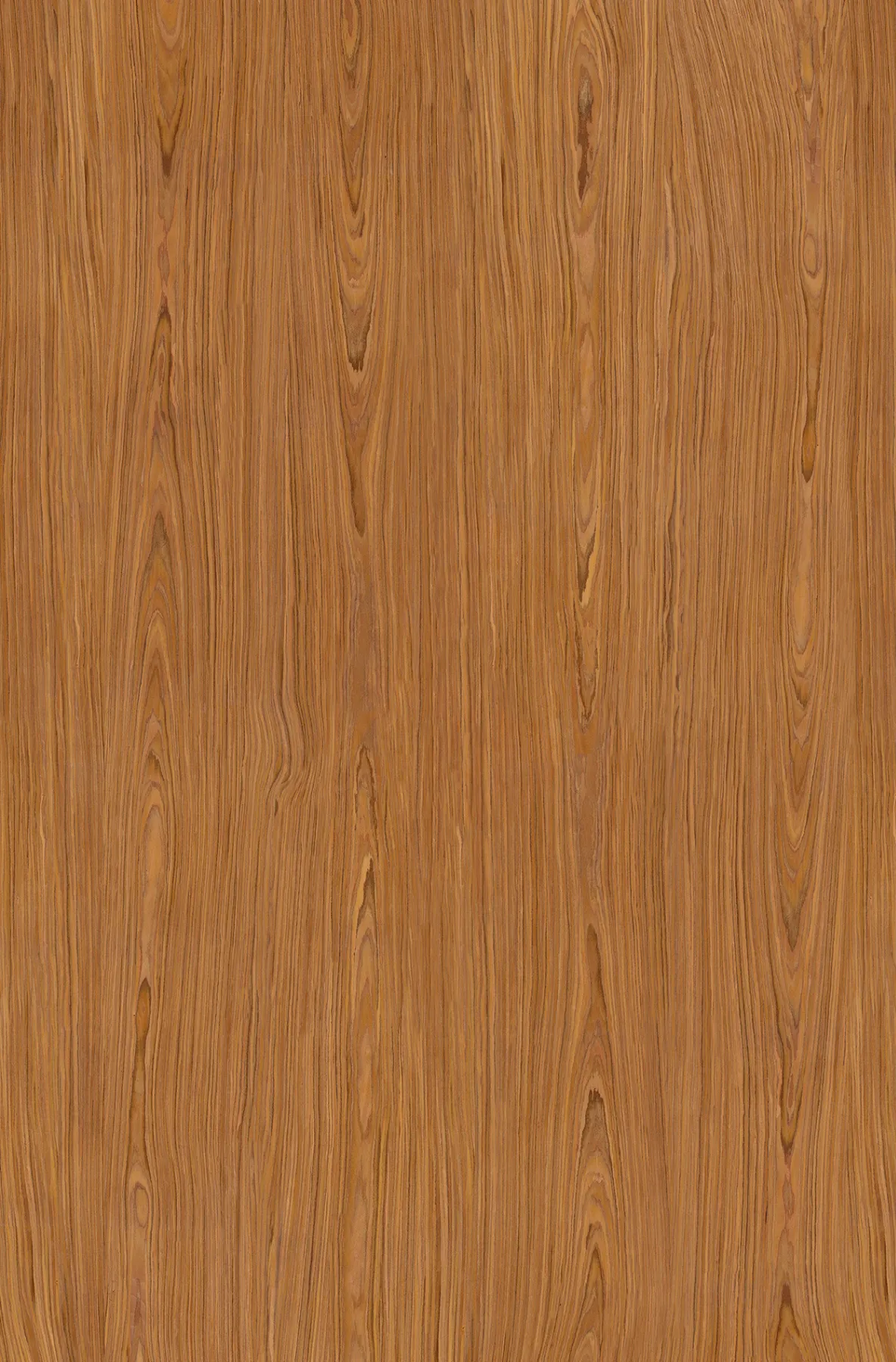 Verniciatura digitale: finitura Egò Blonde Rosewood